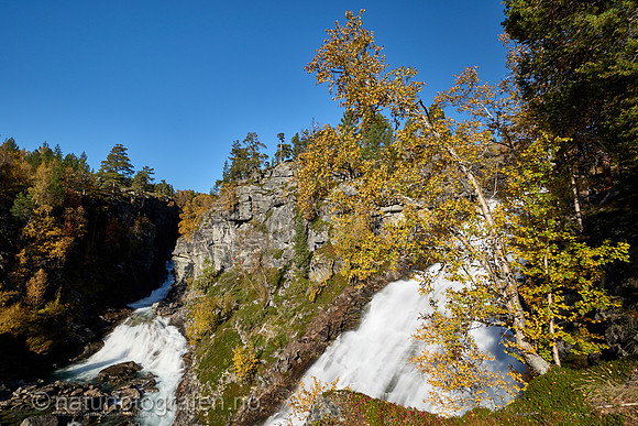 LL2406_086_1200_C