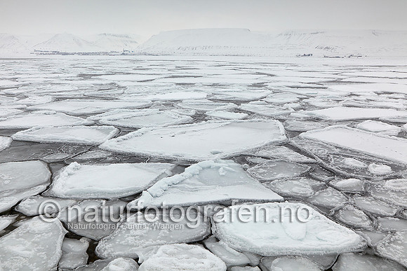 D_EA0901_586_900_C