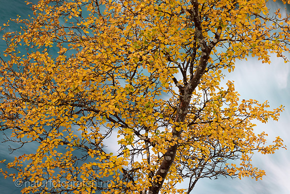 LL2409_038_1280_C