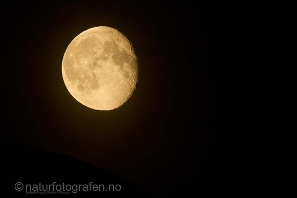 LL2406_009_1200_C