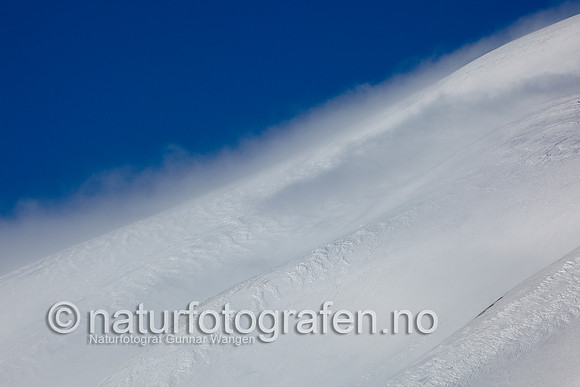 D_EA0901_619_900_C