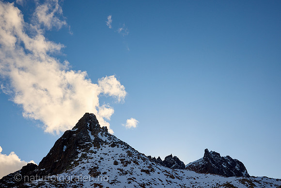 LG2407_152_1280_C