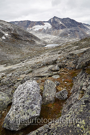 LK1406_245_900_C