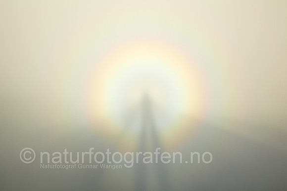D_LG1025_125_900_C