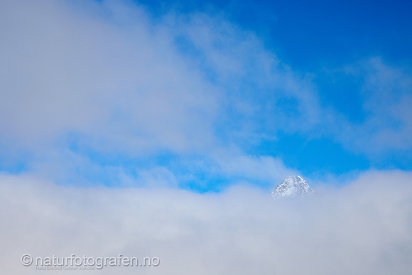 LF2401_002_1280_C