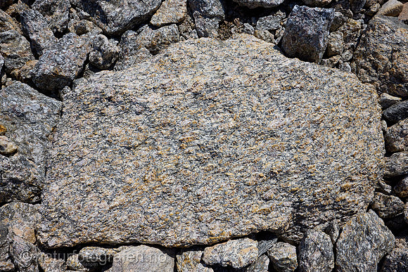 LK2403_095_1200_C