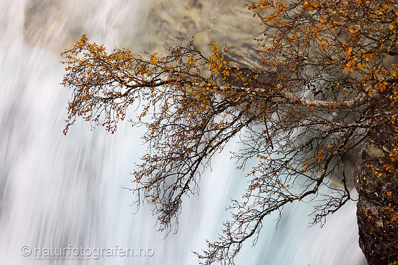 LL2409_032_1280_C