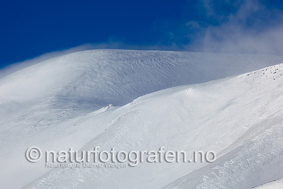 D_EA0901_620_900_C