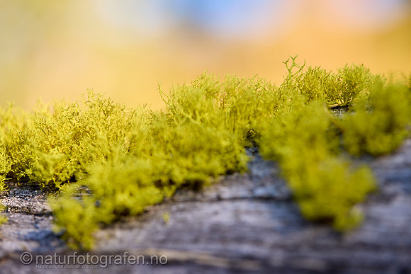 LL2406_022_1200_C