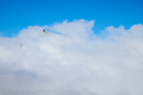 LF2401_005_1280_C