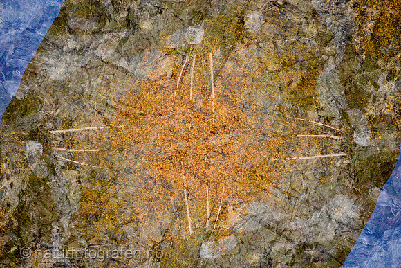LL2406_108_1200_C