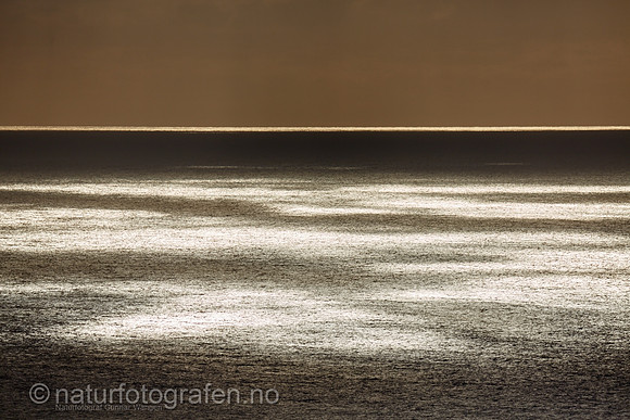 LA1514_096_900_C