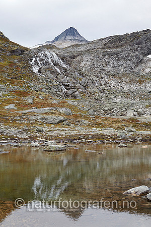 LK1406_212_900_C