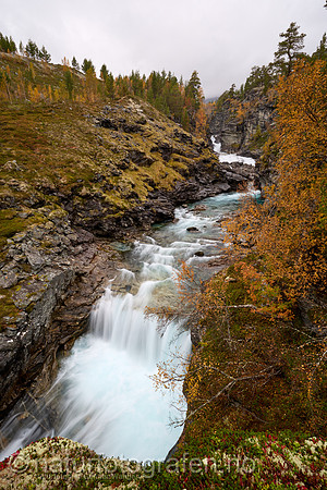 LL2409_014_1280_C