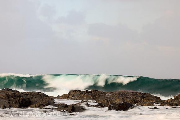 LA2508_019_1280_C