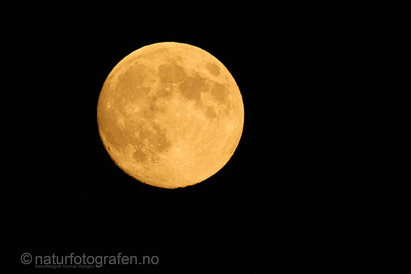 LF26_001_1280_C