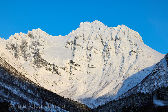 LF26_012_1280_C