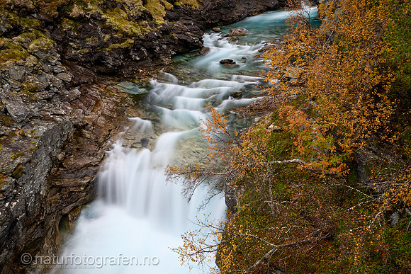 LL2409_015_1280_C
