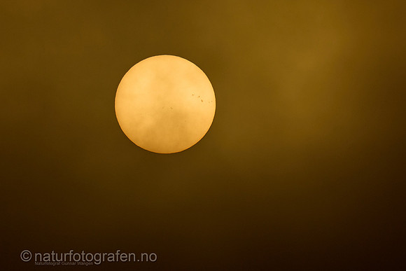 LA2506_001_1280_C