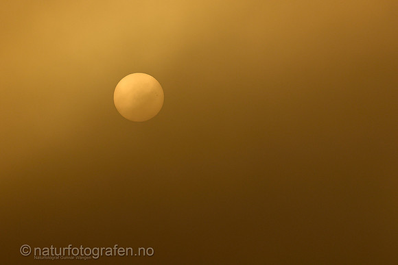 LA2506_003_1280_C