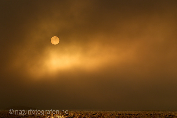 LA2506_013_1280_C