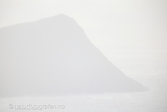 LA2503_001_1280_C