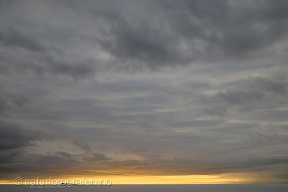 LA2502_031_1280_C