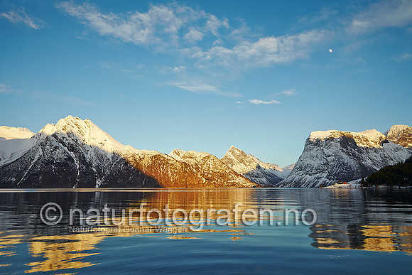 LF1105_017_900_C