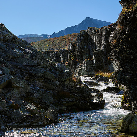 LL2505_032_1x1_1280_C
