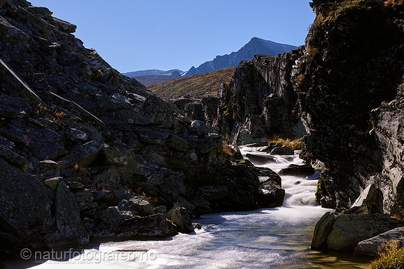 LL2505_034_1280_C