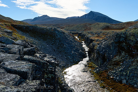 LL2505_036_1280_C