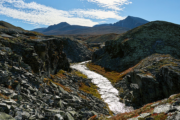 LL2505_038_1280_C