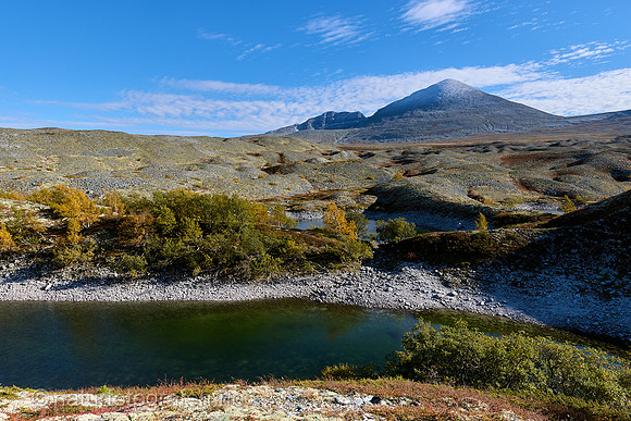 LL2505_039_1280_C