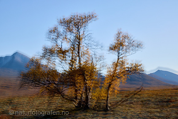 LL2505_041_1280_C
