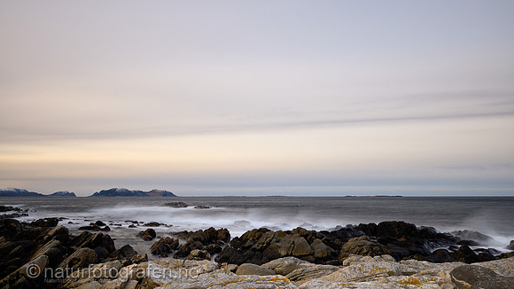LA2301_003_9x16_1200_C