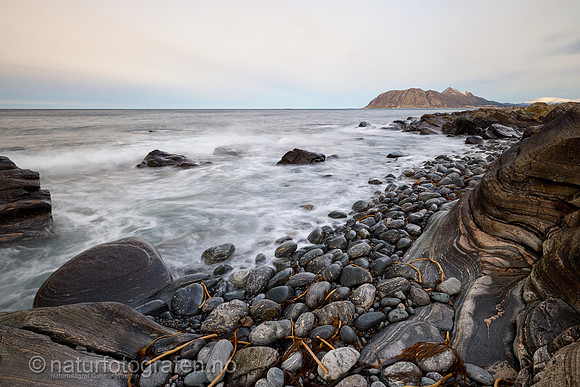 LA2301_015_1200_C