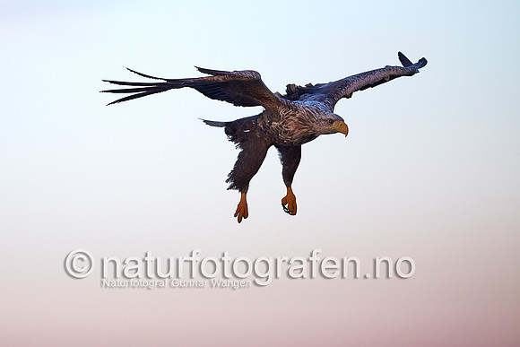 FA1301_005_900_C