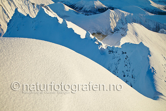 D_LF1010_035_900_C