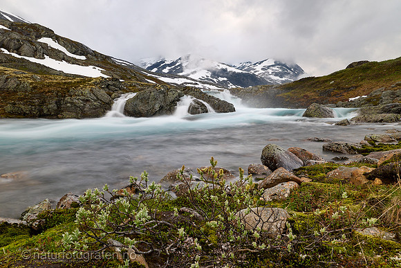 LL2601_027_1280_C