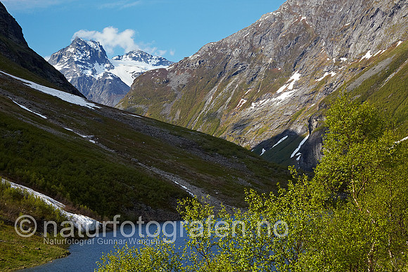 D_LG1001_013_900_C