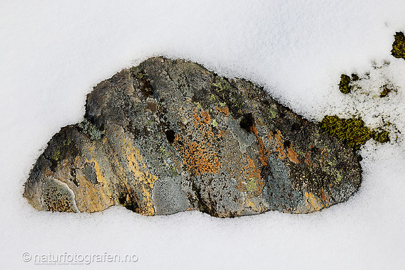 MA26_050_1280_C