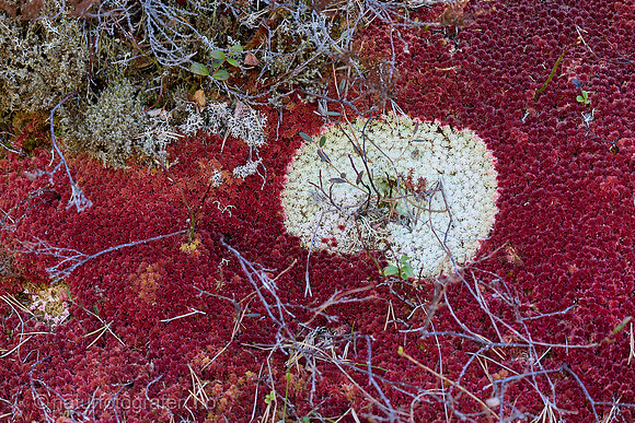 MA26_057_1280_C