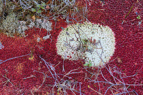 MA26_058_1280_C