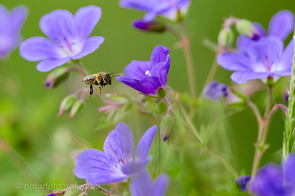MA26_064_1280_C