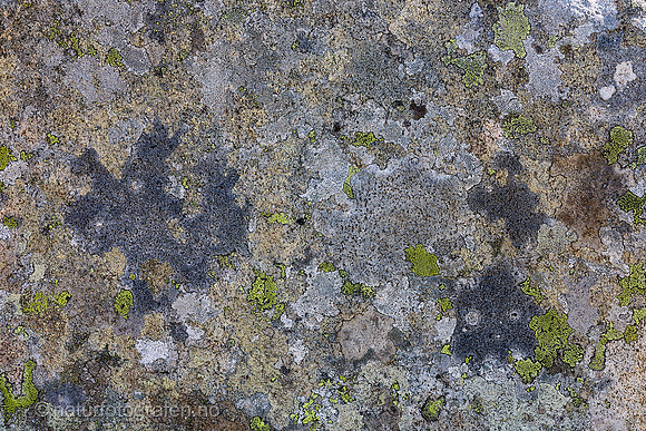 MA26_069_1280_C