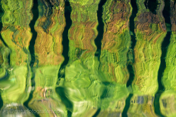 MA26_074_1280_C