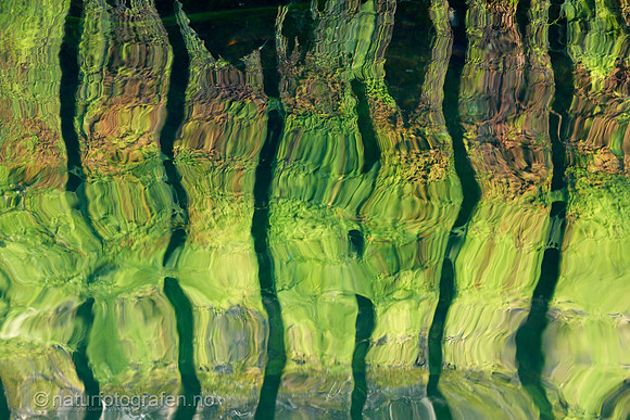 MA26_079_1280_C