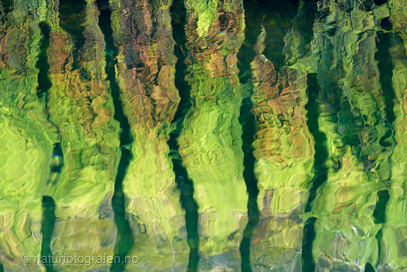 MA26_080_1280_C