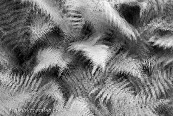 MA26_082_1280_C