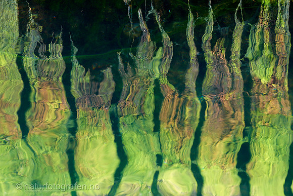 MA26_077_1280_C